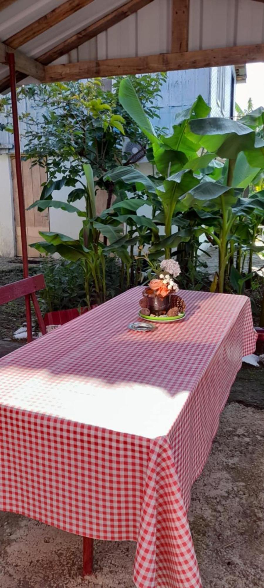 Mano's Guest House Kobuleti Extérieur photo